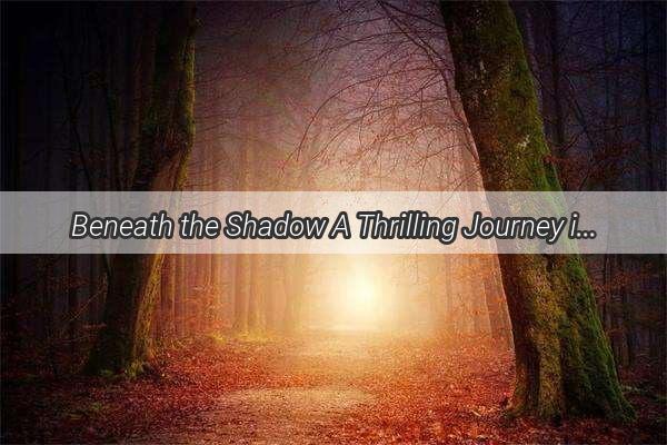 Beneath the Shadow A Thrilling Journey into the Nightly Pursuit of a Dream